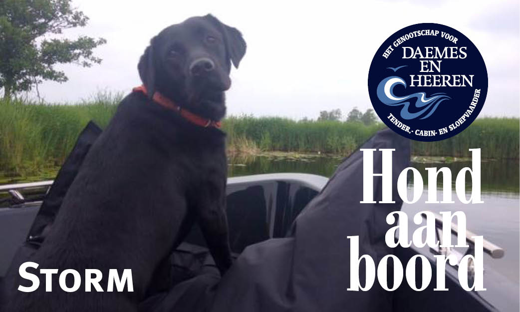 Storm Hond aan boord Daemes en Heeren Sloepenpost Sloep Verschuur Watersport Honden aan boord Trouwe viervoeter