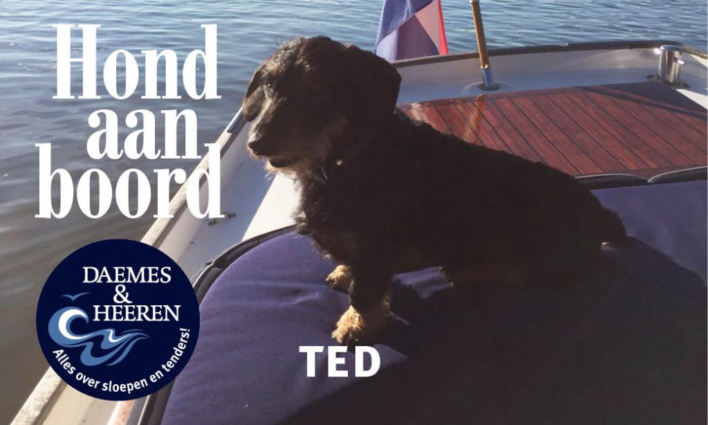 Ted Hond aan Boord Daemes en Heeren Sloepen Tender Cabins Sloepenpost Sloepenkaart Alles over sloepen Sloepenboekje Honden aan boord Trouwe viervoeters